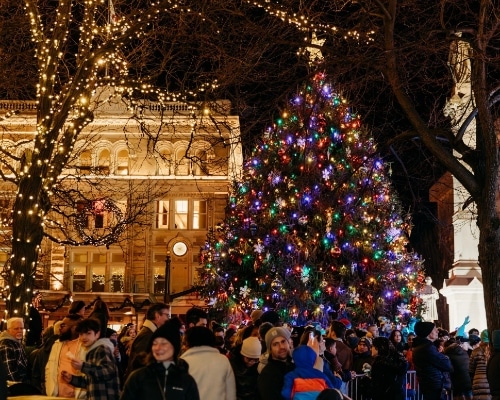 Lancaster City Christmas Tree 