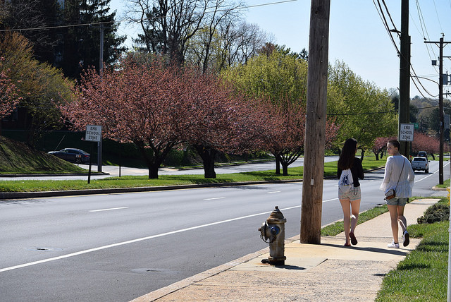West Chester Pike in Newtown Square