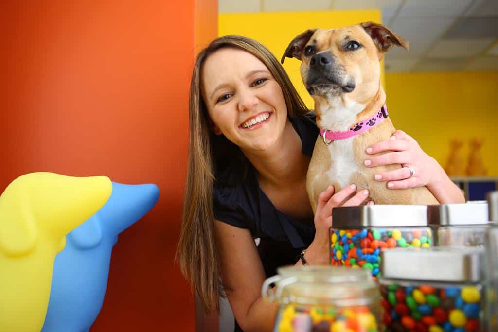DELCO Careers – Petplan