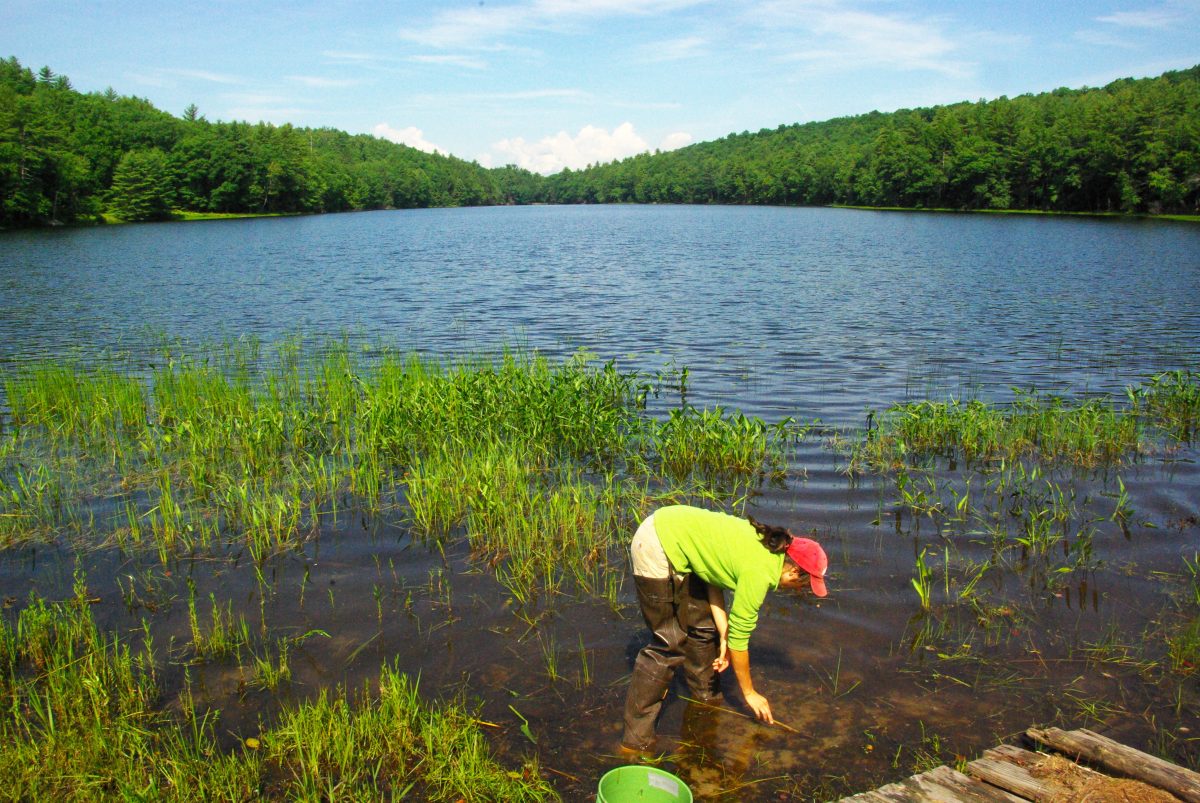 Tara Muenz surveys a pond.