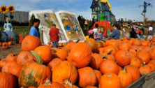 Linvilla Orchards Farm