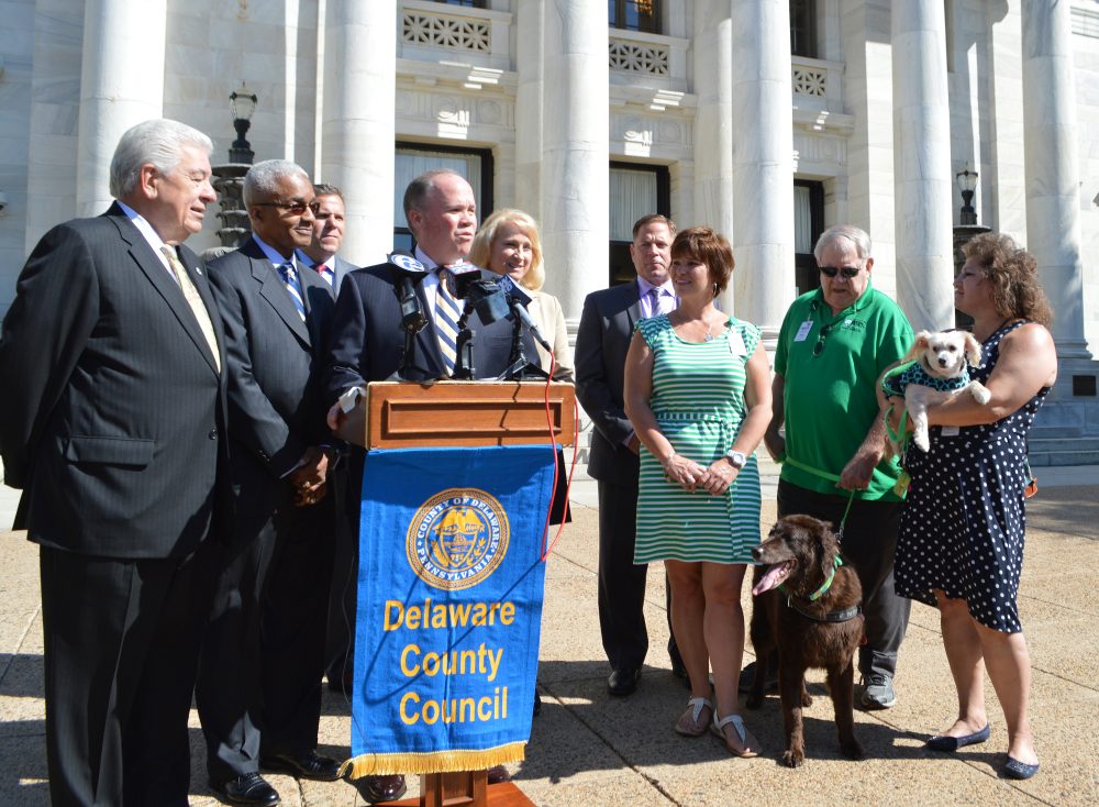 Delaware County Council