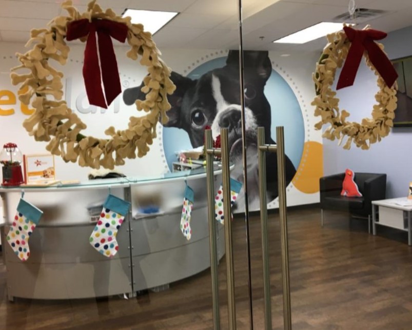 PetPlan Lobby