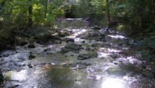Pennsylvania Creek