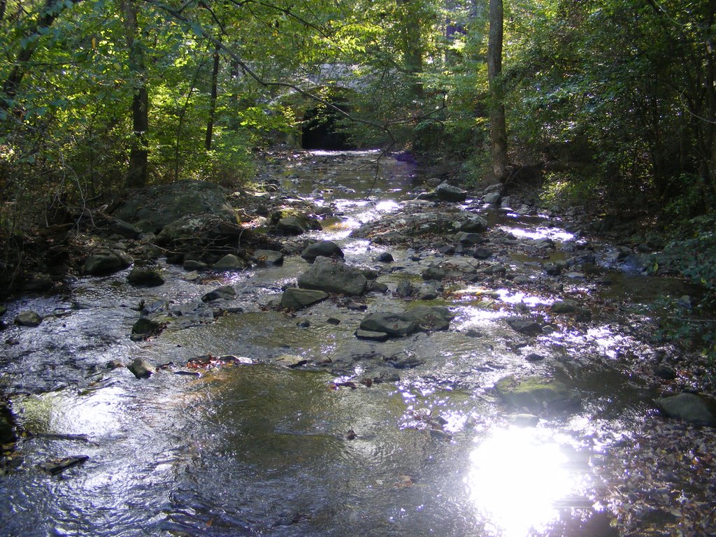 Pennsylvania Creek
