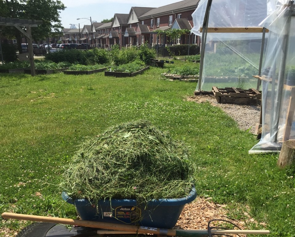 Chester’s Community Farm Harvests Deal That’s ‘Fare and Square’