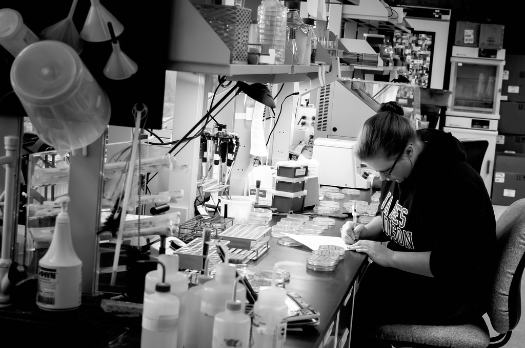 DELCO Careers – VWR International