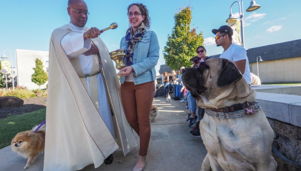 Father Stephen Thorne at a Blessing of the Animals with a dog and its owner.