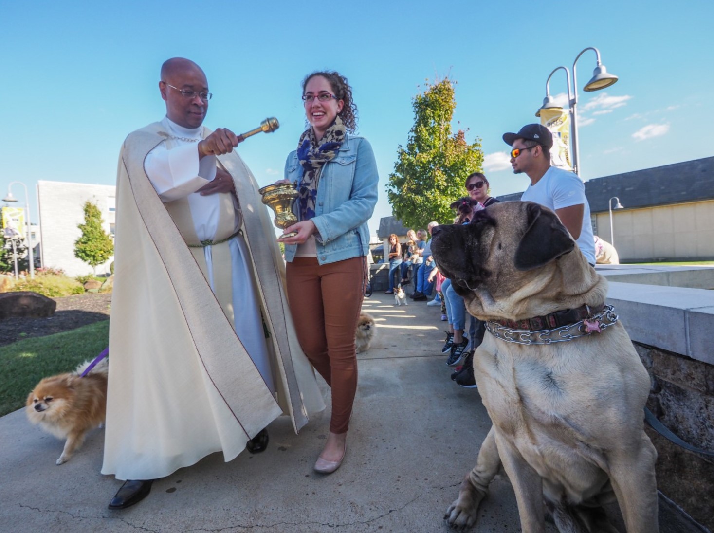 Father Stephen Thorne at a Blessing of the Animals with a dog and its owner.