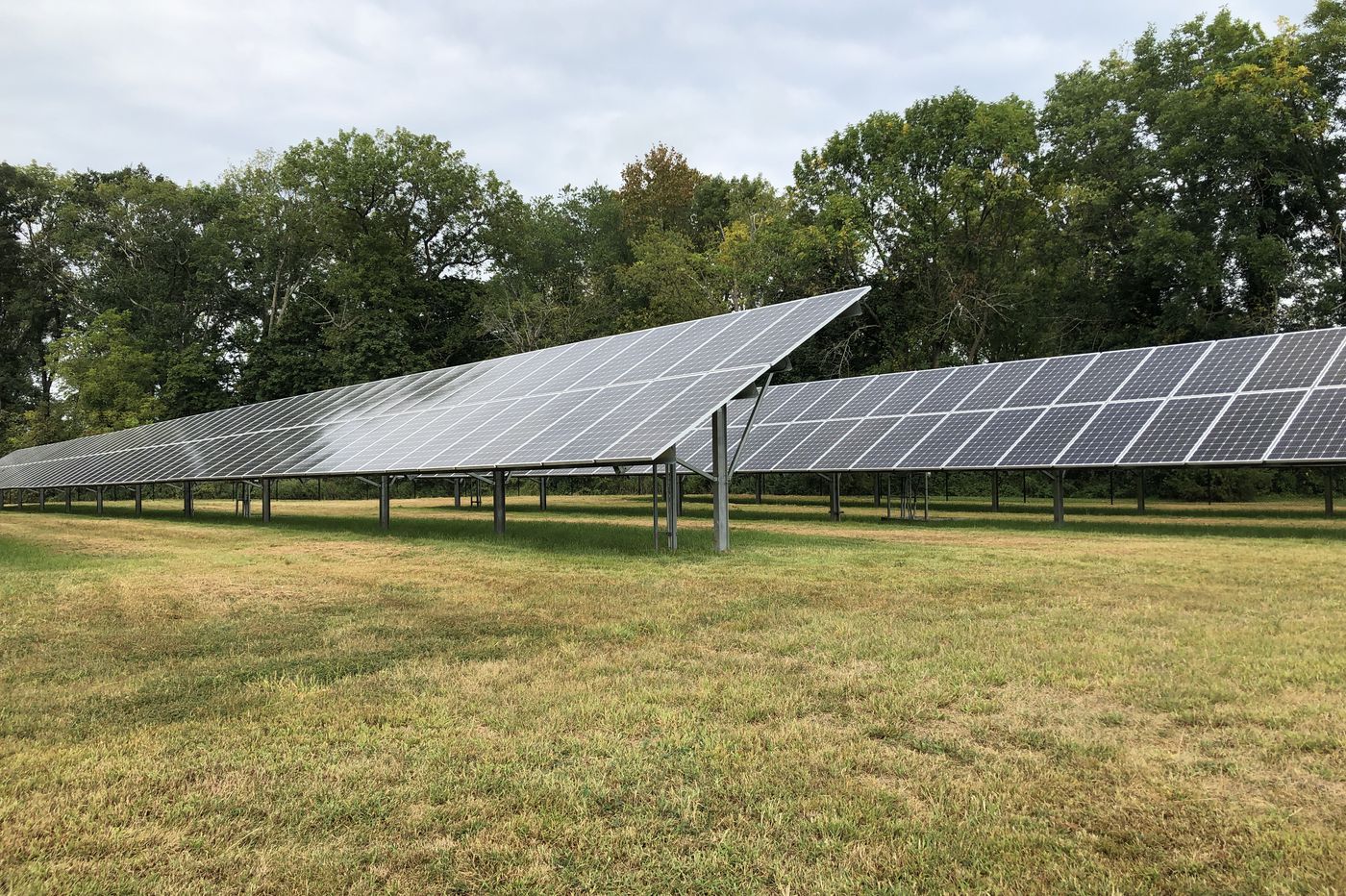 Wawa’s Going Solar as It Brings Solar Power to 93 of Its Stores in New Jersey