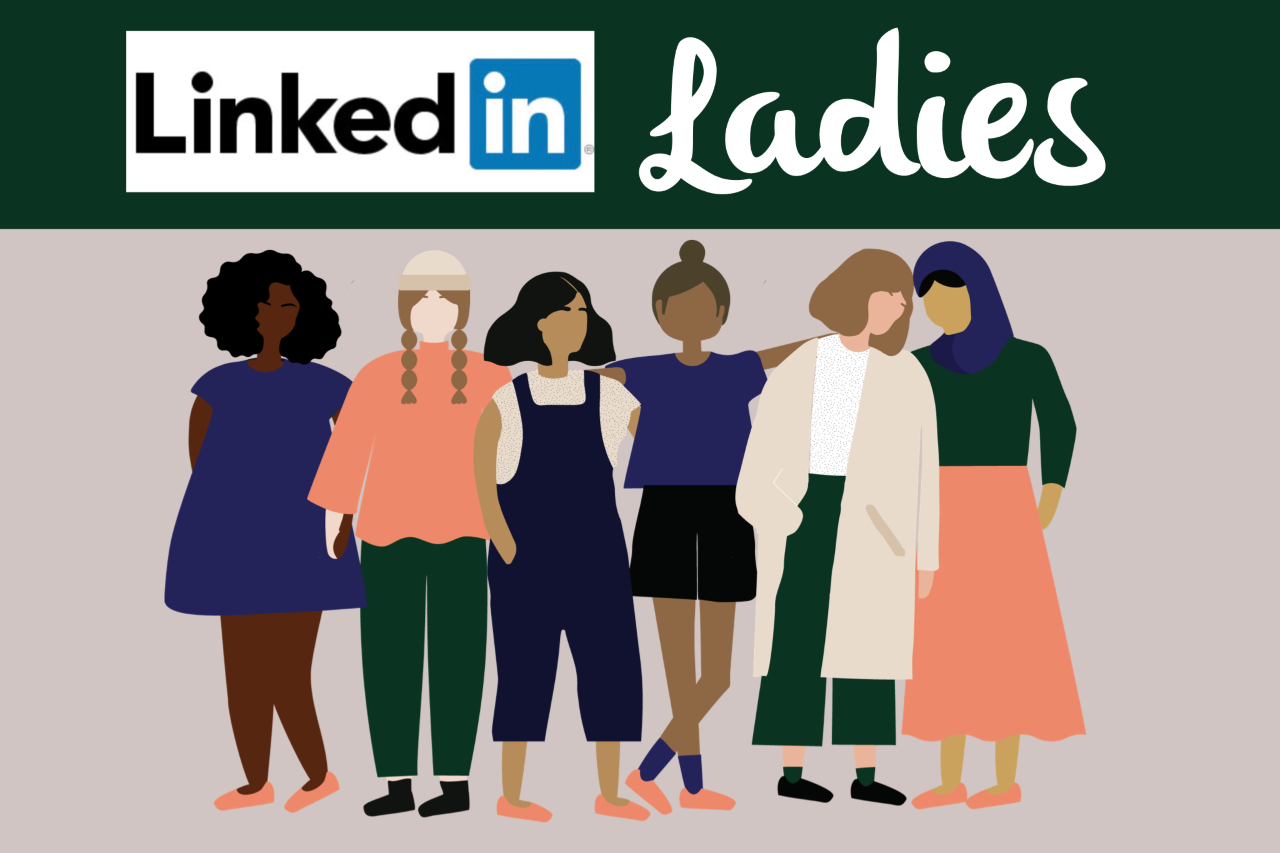 LinkedIn Ladies graphic of many women standing together.
