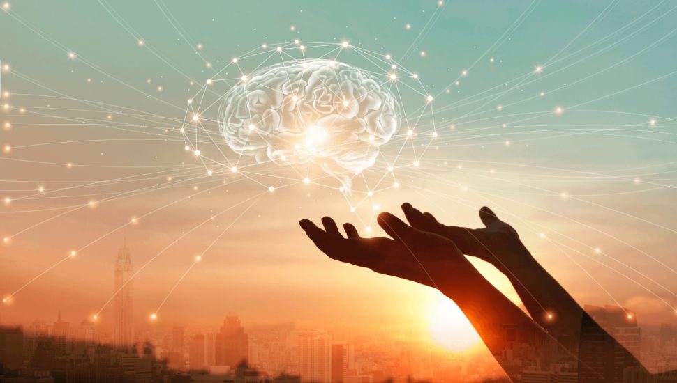 Trauma and the Brain: Signs You Might Be Living in “Survival Mode”