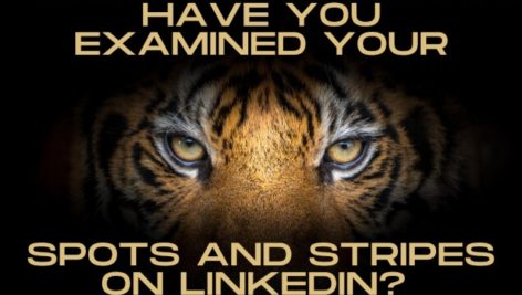 LinkedIn Cattitude