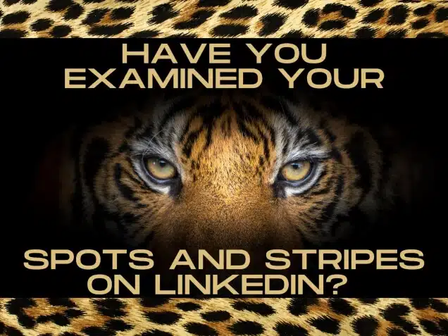 Have You Examined Your Spots and Stripes on LinkedIn?
