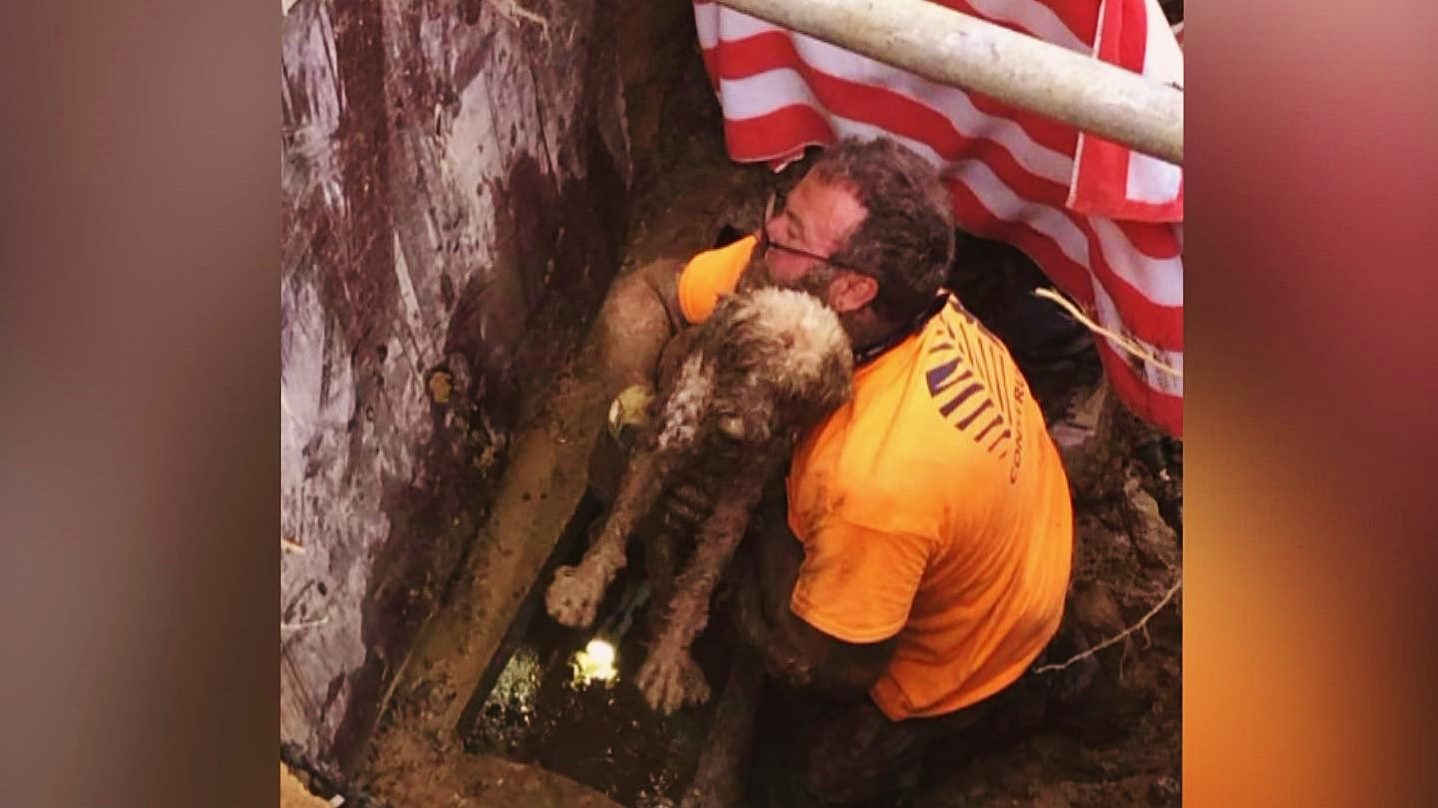 Glen Mills Construction Company Rescues Blind Dog Trapped in Pipe