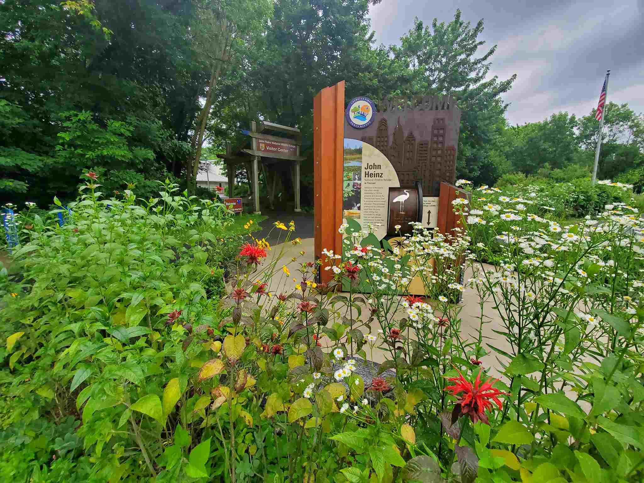 The Peace of the Heinz Wildlife Refuge in Tinicum Takes You Away from the Urban Maelstrom