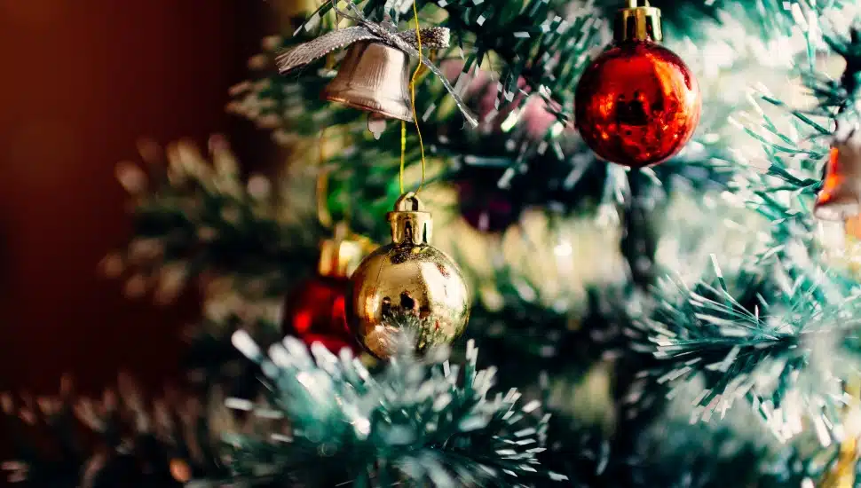DELCO Today Wishes You Merry Christmas and Happy Holidays