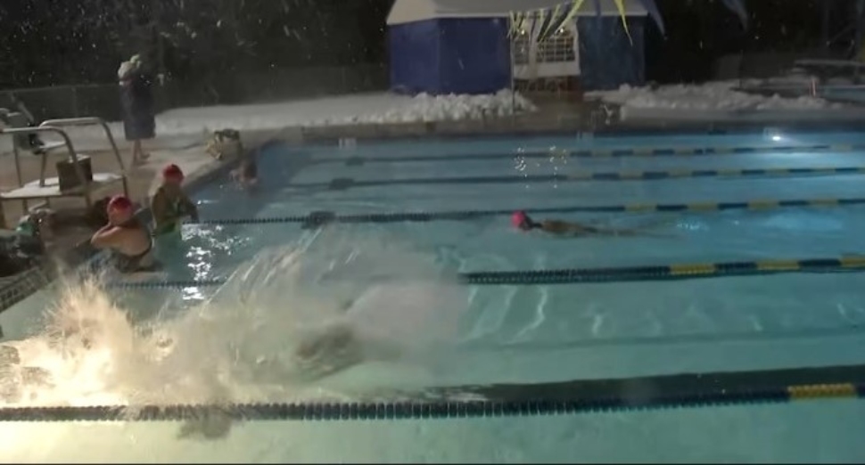 It Was a Nice Day for a Swim, If You Were a Penguin, or These Guys