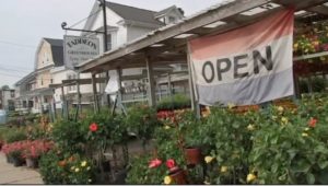 Residents can feed their gardens at Taddeo's Greenhouses in Havertown