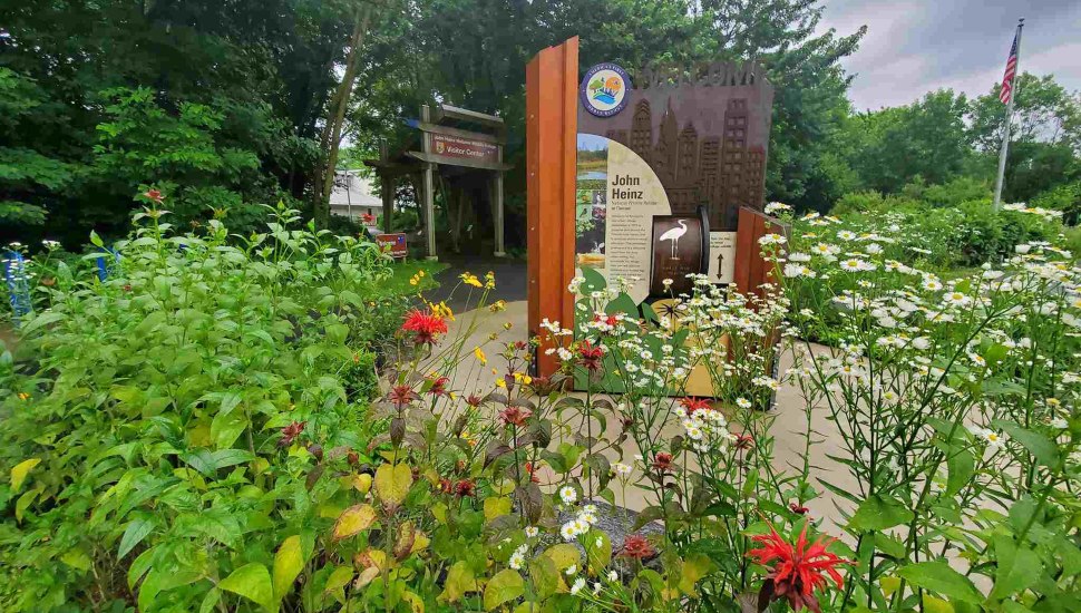 Birdwatching potential at John Heinz National Wildlife Refuge in Tinicum