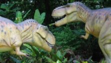 Two of Dino Don, Inc. dinosarus. Owner Don Lessem was an advisor on Jurassic Park.