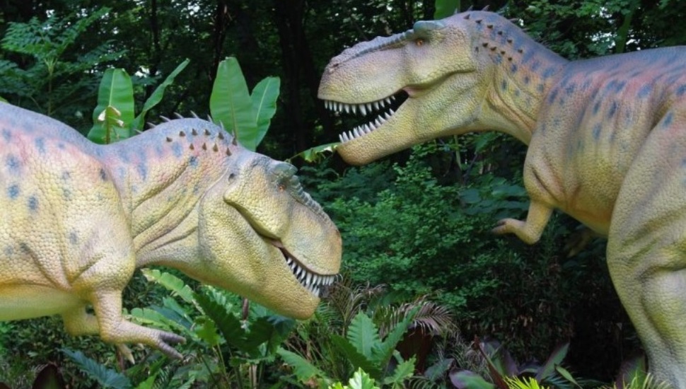 Two of Dino Don, Inc. dinosarus. Owner Don Lessem was an advisor on Jurassic Park.