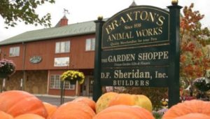 Braxton's Animal Works in Wayne taking care of your pet needs