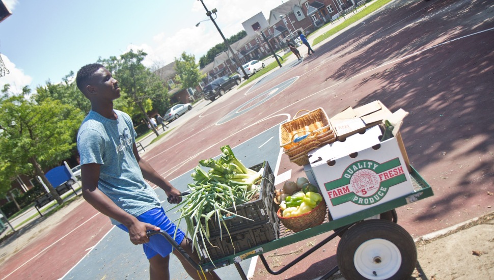 Ahmaj Jackson, 14, transport fresh produce around the Ruth Bennett Community Farm.