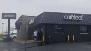 Curaleaf (formerly Herbology) at 409 Baltimore Pike in Morton.
