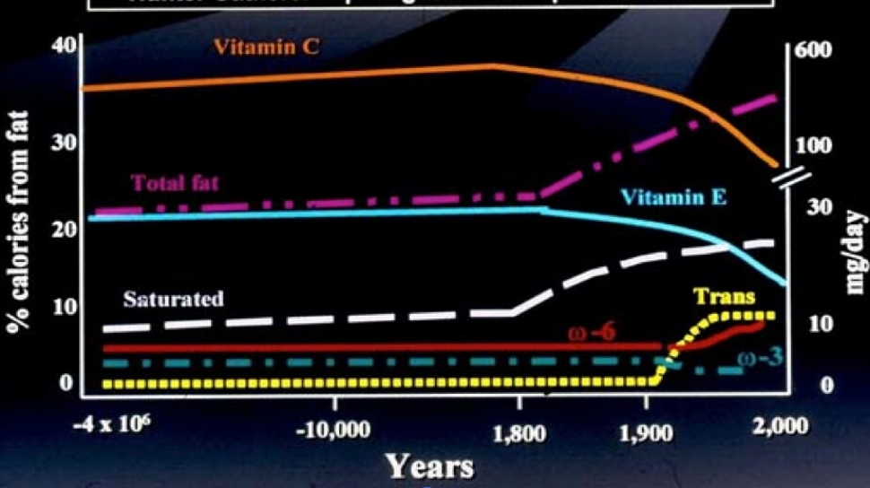 A chart indicating the human diet through time.