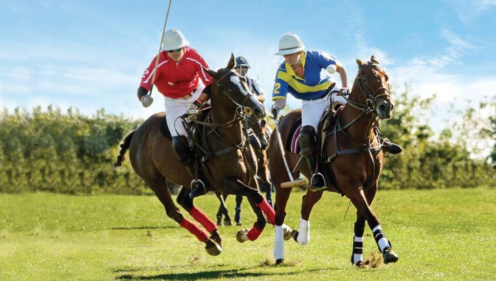 Malvern Bank polo match