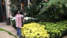 A woman taking pictures at Longwood Gardens
