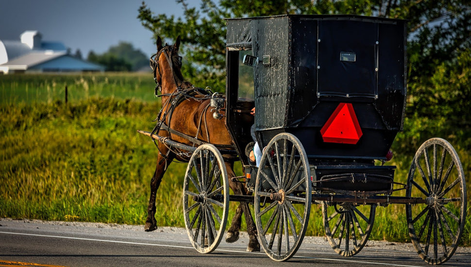 Amish buggy in Lancaster County