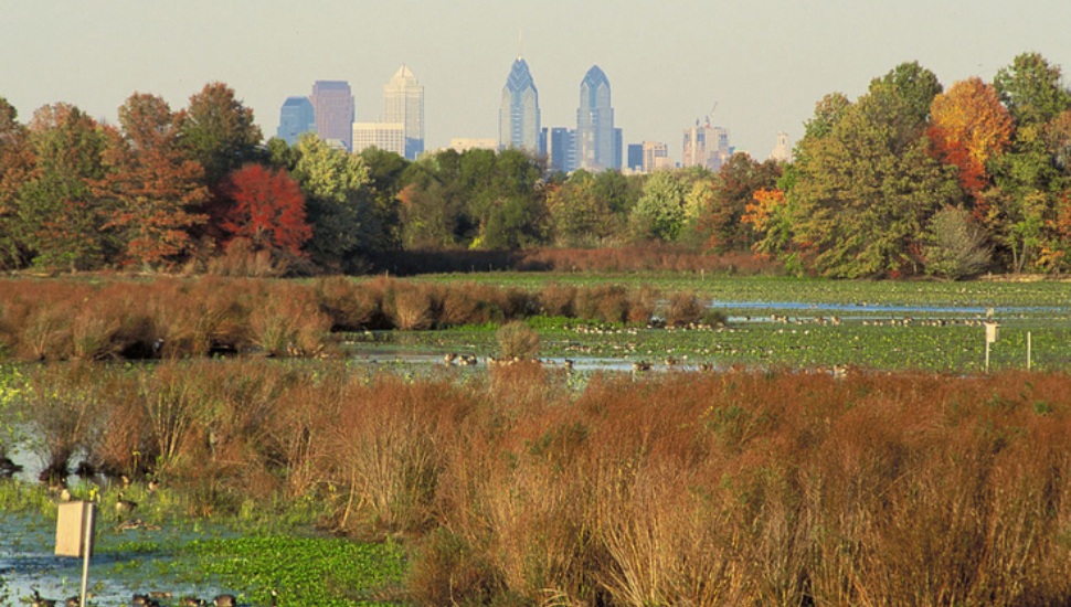 John Heinz Wildlife Refuge in Tinicum Gets $1.5M Restoration