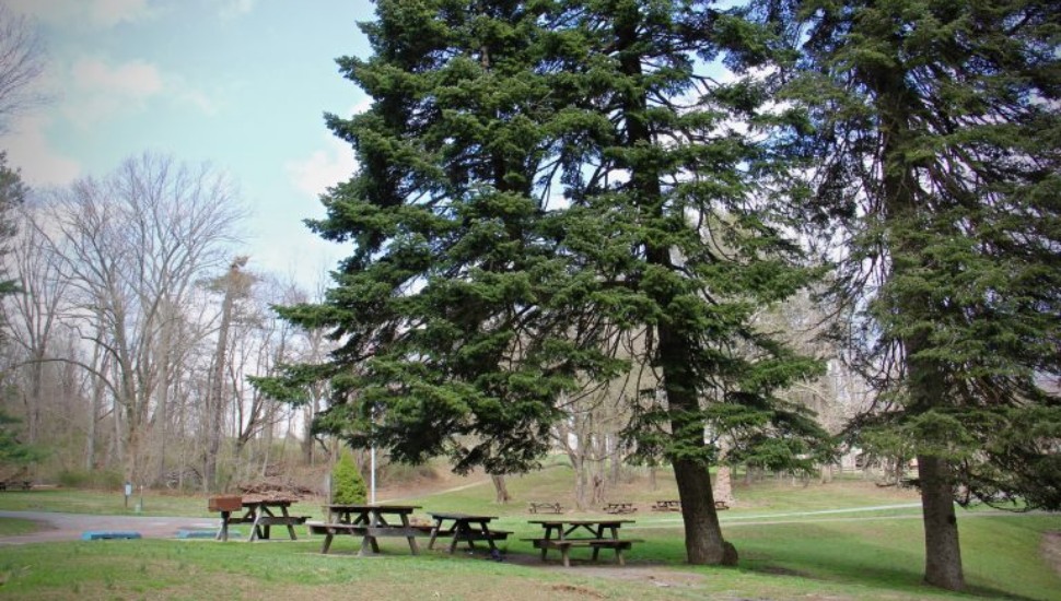 A nice day at a picnic area at Ridley Creek State Park.