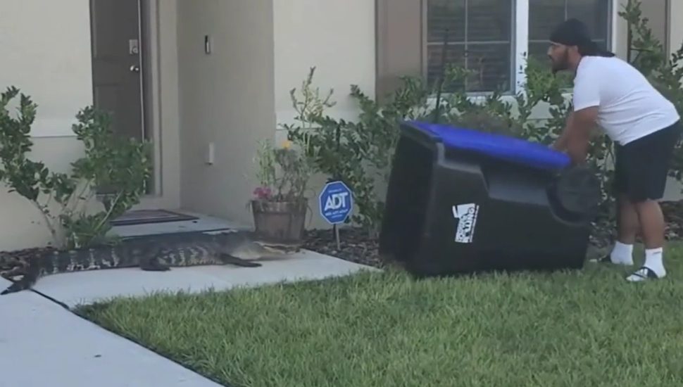 man with trash can and alligator