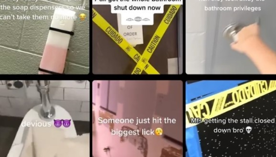 TikTok video samples highlighting 'devious lick' challenges