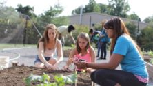 Students at Penn State Brandywine work in a garden on campus.