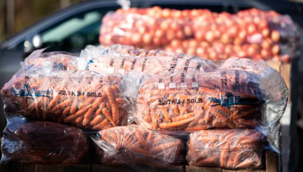 bags of carrots