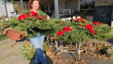 Bonnie McShane with some Christmas greenery at Bonnie's Wondergardens.