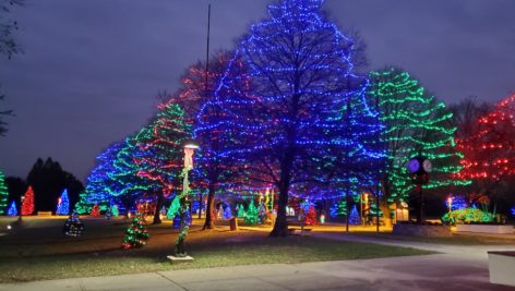 DELCO Today brings you hyperlocal coverage, like the Festival of Lights at Rose Tree Park