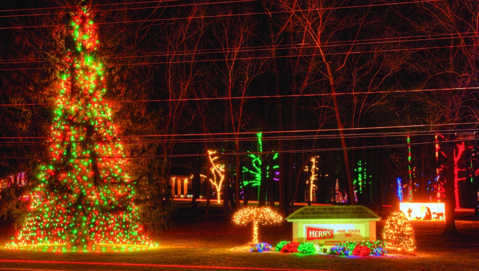 lit tree on a street