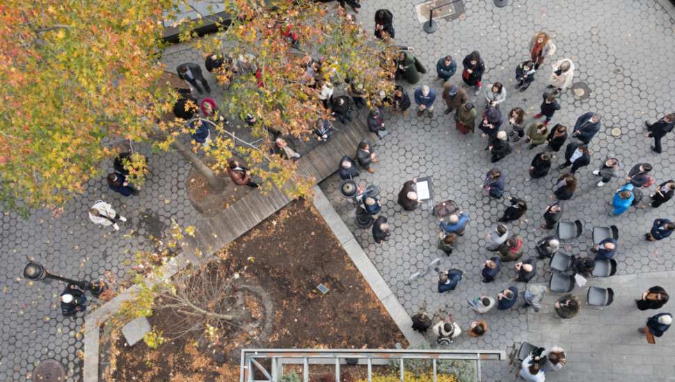 people at a tree