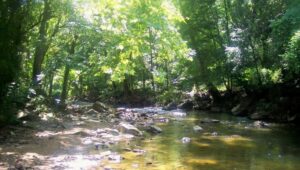 Darby Creek.