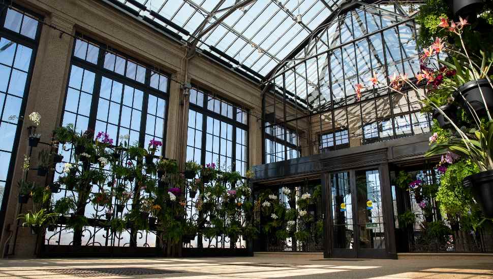 glass house