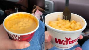Two cups of macaroni and cheese from Wawa and Sheetz.