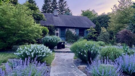 A gravel garden in springtime at Andrw Bunting's Swarthmore home.