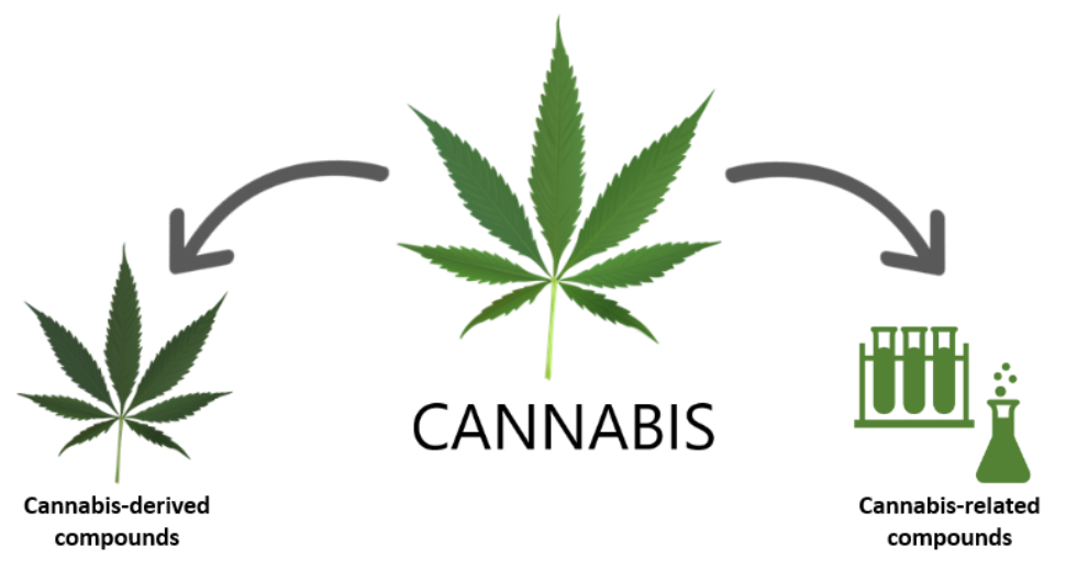 Cannabis graphic.