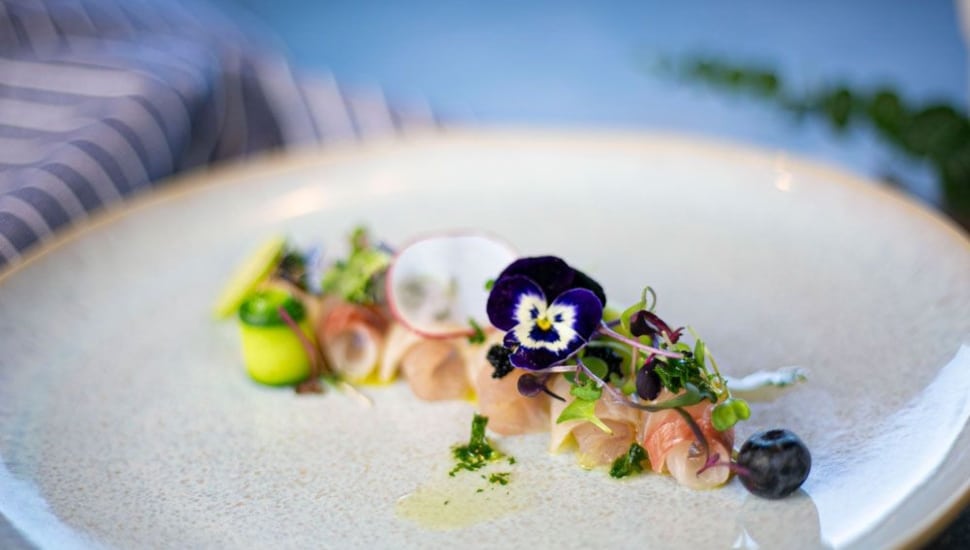 Ardmore Restaurant Week prepared dish at Osushi