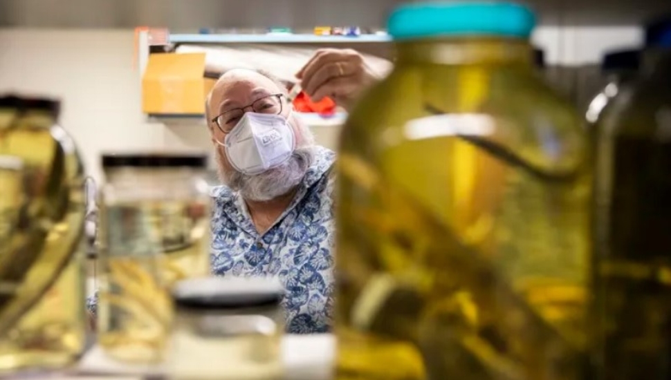 Biologist Aaron Bauer